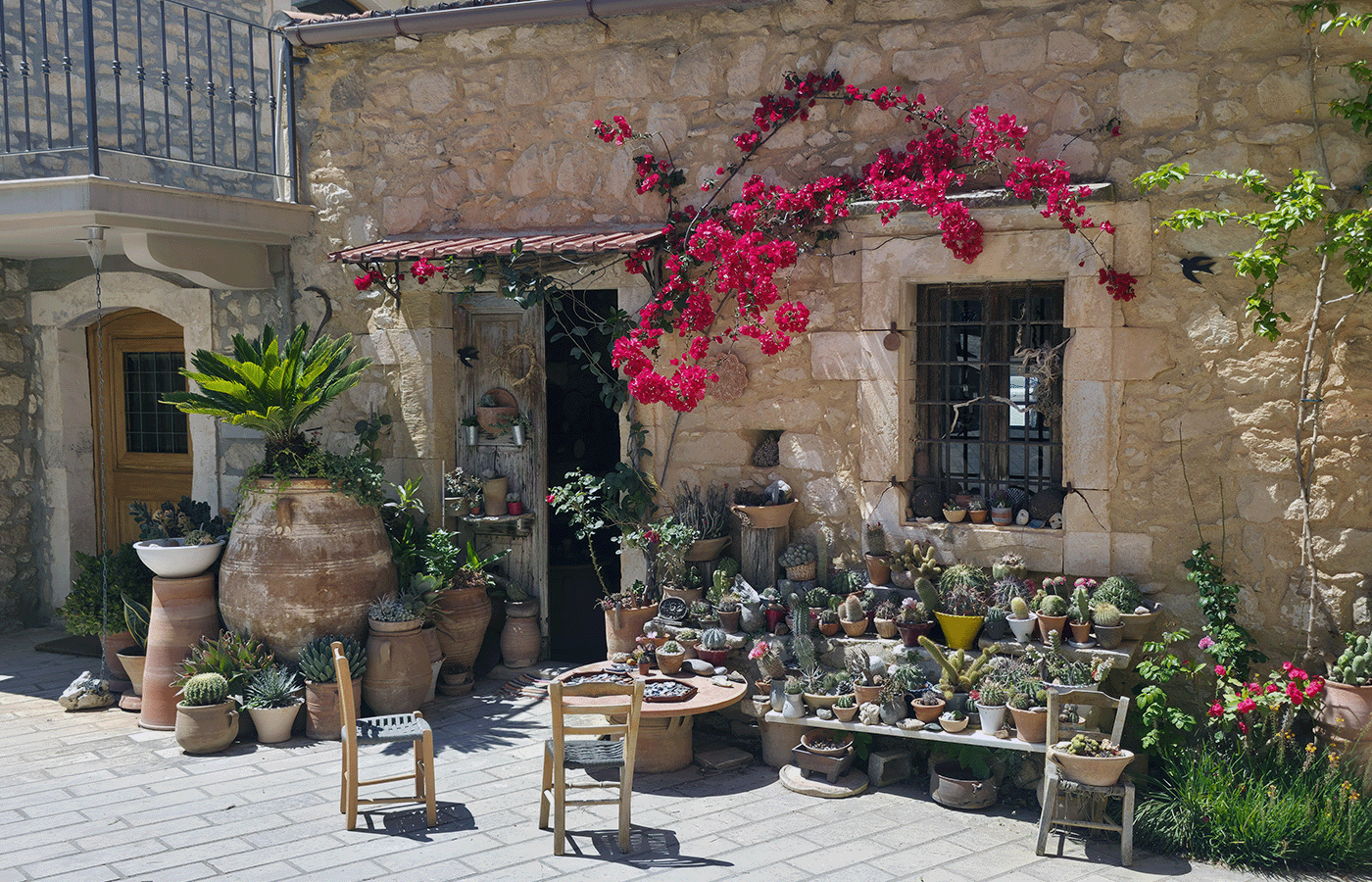 Website_Margarites_0004